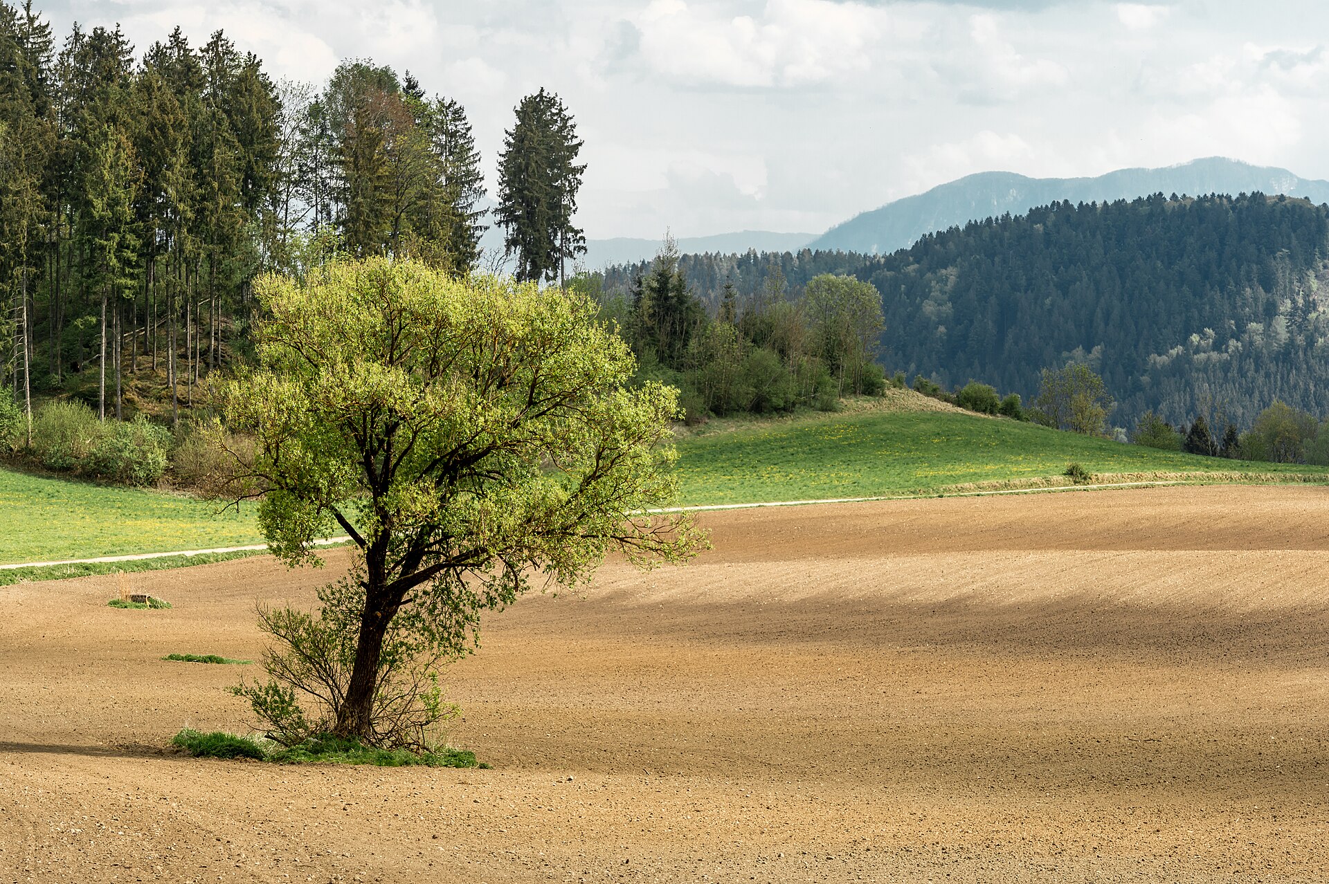 Landwirtschaftliche Grundstücke mit Feldern und Wiesen in Österreich